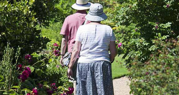Estate Planning